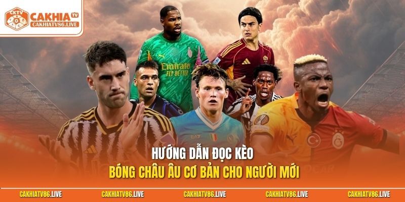 Hướng dẫn đọc kèo bóng châu Âu cơ bản cho người mới