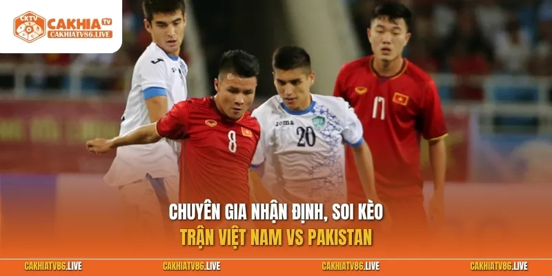 Chuyên gia nhận định, soi kèo Việt Nam vs Pakistan